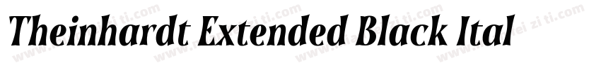 Theinhardt Extended Black Italic字体转换